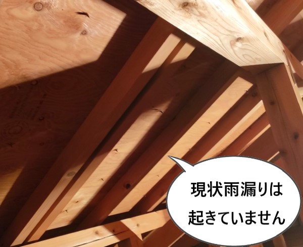 屋根裏の点検　現状雨漏りは起きていません